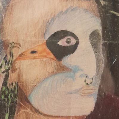 JacksDulaney's profile picture. If you do not stand firm in your faith, then you will not stand at all.