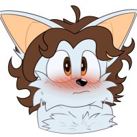 Curly The Fox (@curlythefox1) 's Twitter Profile