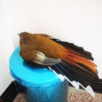 one2web6 (@one2web6) 's Twitter Profile