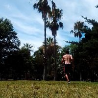 Testasdeanibal2021 (@testasdeanibal2) 's Twitter Profile Photo Testasdeanibal2021 (@testasdeanibal2) 's Twitter Profile Photo