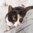 yeonyeony's profile image