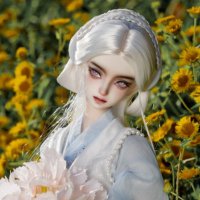 ノワドール (@bjdnovadoll) 's Twitter Profile Photo ノワドール (@bjdnovadoll) 's Twitter Profile Photo