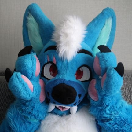 Sky the Saber Wolf 🔜 FD, NYFBさんのプロフィール画像