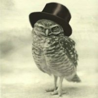 Zakn (@zakn) 's Twitter Profile