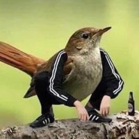 julian casamigos (@kevcanthang) 's Twitter Profile