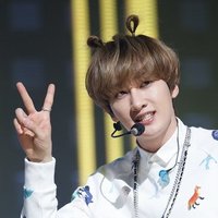 ras (weird bird collector) (@alonewithsheep) 's Twitter Profile