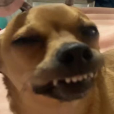 pullmyfruit's profile picture. not a parody, I am the real fruit punch clown. in search for hot liquid girlfriend hopefully a fruit punch gal