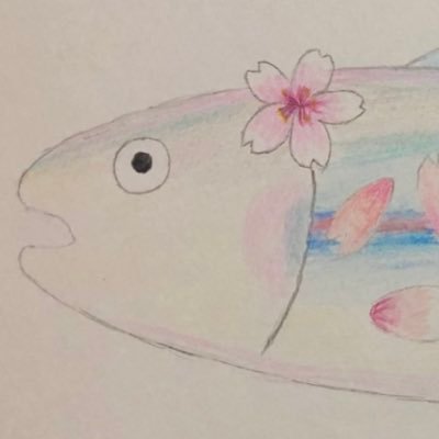 springシャケさんのプロフィール画像