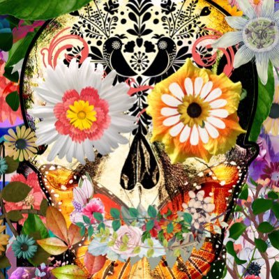 AEXDREA's profile picture. When found ill know what I was looking for.