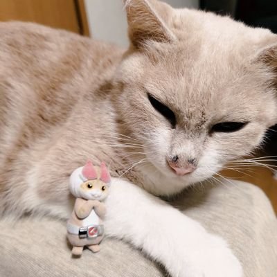 くもりさんのプロフィール画像