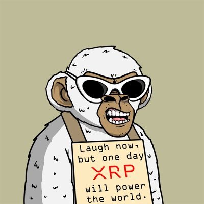 Solnakai's profile picture. Avid NFT Collector. WEB 3.0