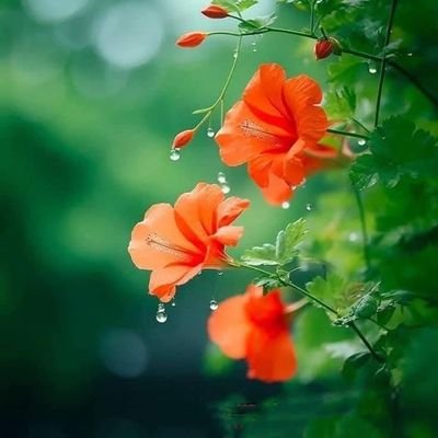 snanda_k's profile picture. liberal, secular, dravidian ideology| politics current affairs business  Financial. retweets are not endorsements.