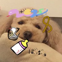 あやロコ👠⛓ (@ayamasa0224) Twitter profile photo