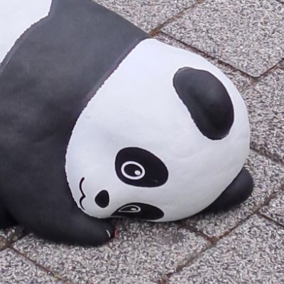 ぽぴぷさんのプロフィール画像