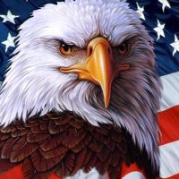 Frozen Patriot (@carls57296) 's Twitter Profile