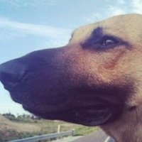 RolodexRex (@rolodexrex) 's Twitter Profile