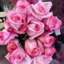 Haralson Barnaby - @trader7637 - Twitter