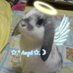 Angel ₊˚✧🐇 (@debunaita) Twitter profile photo Angel ₊˚✧🐇 (@debunaita) Twitter profile photo