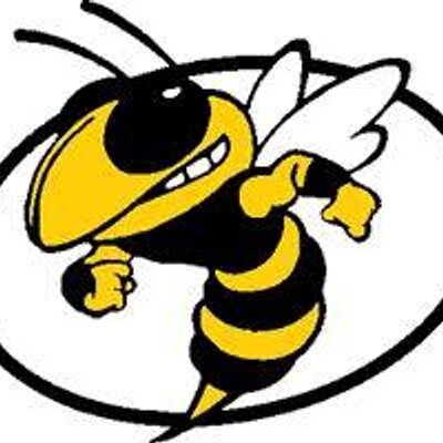 TLHannaSoftball's profile image
