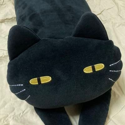 A0N9さんのプロフィール画像