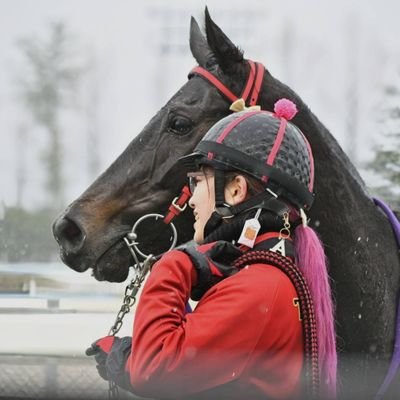25/金沢競馬ファン14年→お馬さんのお世話係teamK→大井でお馬さんのお世話係→茨城で専業主婦/トプ画・ヘッダー エースアクシス号とteamK
旦那と日ハム応援ꉂꉂ📣 #54 #30 #99