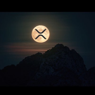 kooweecryptokid's profile picture. XRP ARMY🚀🚀💥💥