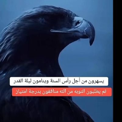 smadi_zeia77973's profile picture. Zeiadsemdi1@gmail.com