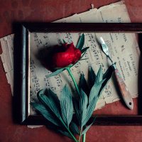 Unchained Symphonies (@symphunchained) 's Twitter Profile Photo Unchained Symphonies (@symphunchained) 's Twitter Profile Photo