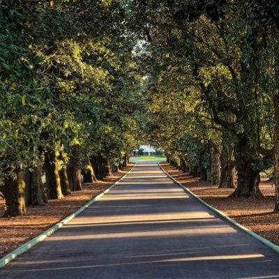 BettingTheLinks's profile picture. 