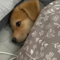 λ§μ° (@inmarsbrbr) 's Twitter Profile Photo λ§μ° (@inmarsbrbr) 's Twitter Profile Photo