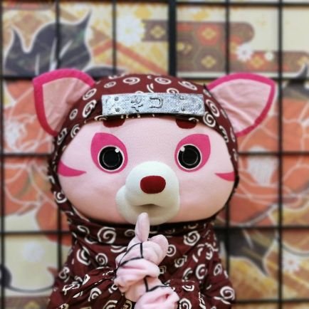 マヤー スーパーキャット🐱🐯さんのプロフィール画像