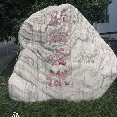 sote010's profile picture. 专注于虚拟币运行