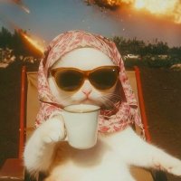 MiRAnsias✨ (@miransias) 's Twitter Profile