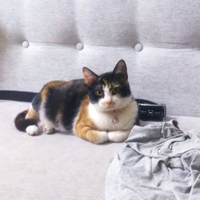 Long52566775's profile picture. https://t.co/V2csJgR7hI