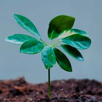 Épargnez-Vous !?✨ (Bourse Crypto Epargne) (@epargnezvous) 's Twitter Profile Photo Épargnez-Vous !?✨ (Bourse Crypto Epargne) (@epargnezvous) 's Twitter Profile Photo