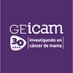 GEICAM - Cáncer de mama (@geicam) Twitter profile photo GEICAM - Cáncer de mama (@geicam) Twitter profile photo