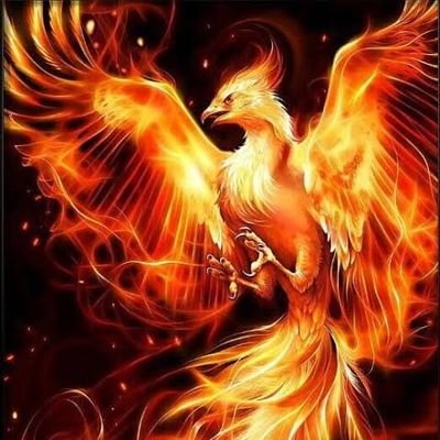 yirtici_kuss's profile picture. 