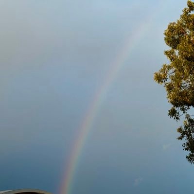 pkrn323's profile picture. 心の声多め @pkrn323deshita に移行しました