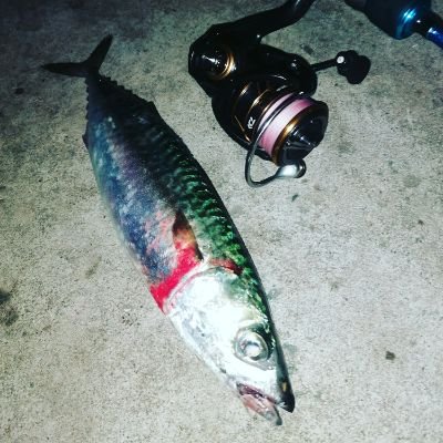 Zavsehoroshee's profile picture. Пряник