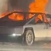 ToDumb26733's profile picture. 