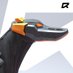 Houndrace (@houndrace) Twitter profile photo Houndrace (@houndrace) Twitter profile photo