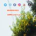 推特刷粉丝 x刷粉丝 推特账号 推特涨粉丝 推特涨粉 推特买粉丝 x账号 (@ed50jipfdbmmf2y) Twitter profile photo 推特刷粉丝 x刷粉丝 推特账号 推特涨粉丝 推特涨粉 推特买粉丝 x账号 (@ed50jipfdbmmf2y) Twitter profile photo