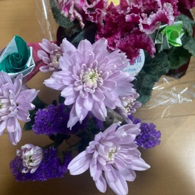 ysanusant's profile picture. X初心者です🙇‍♀️//美容🤍コスメ🤍メイク🤍お取り寄せ🤍グルメ🤍懸賞🤍小学生双子ママ🤍懸賞垢さん美容垢さんと繋がりたい🤍よろしくお願いします🤍