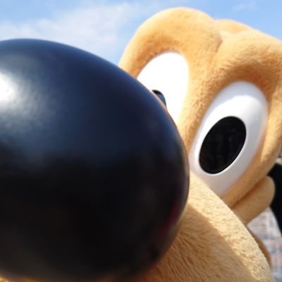 baaaamviplu's profile picture. 新しいアカウントです🙂‍↕️🫶🏻