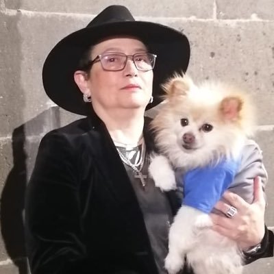 Dra. en Derecho Constitucional UCM; Mtra. Administración y Políticas Públicas IEXE; Lic. en Derecho UNAM, y con trayectoria en la academia y servicio público.