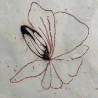 figgy (@im_faezah) 's Twitter Profile Photo