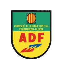 ADF 249 Puigmadrona-Olorda (@adf249) 's Twitter Profile Photo ADF 249 Puigmadrona-Olorda (@adf249) 's Twitter Profile Photo