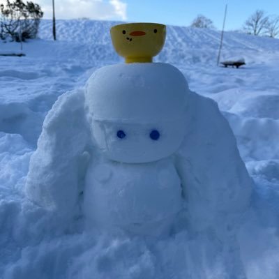新百合の人さんのプロフィール画像