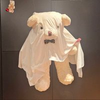 ์ ๋ ๐ฏ๏ธ (@yoona_801129) 's Twitter Profile