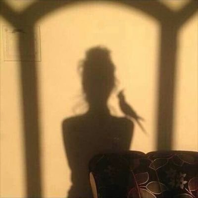 Badgrandmather's profile picture. bb